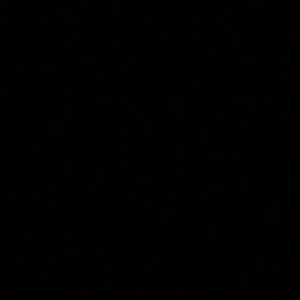 Meet your Posher, Trevor